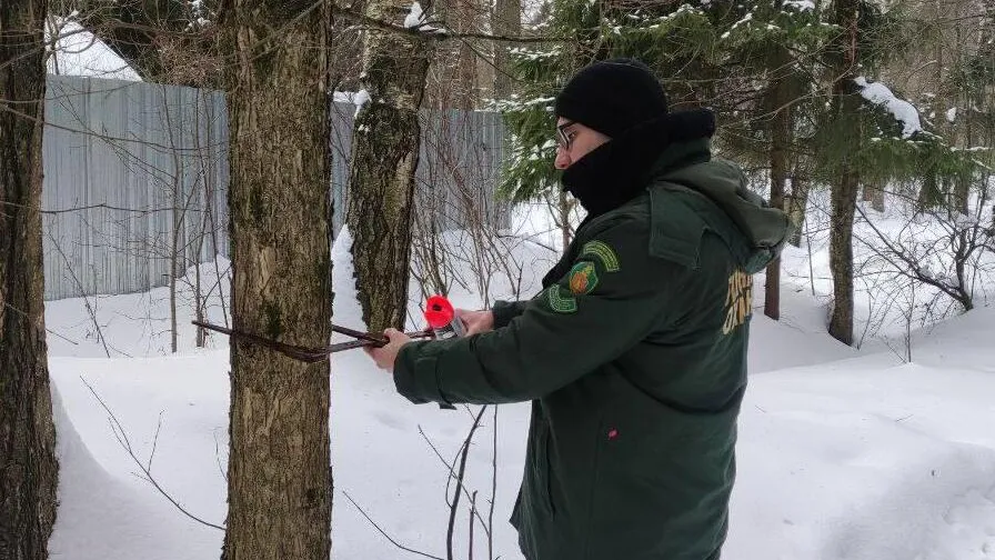 Комитет лесного хозяйства МО