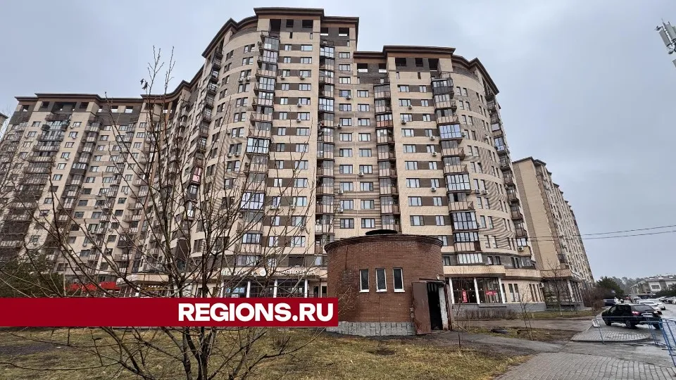 Фото: Мария Шматкова