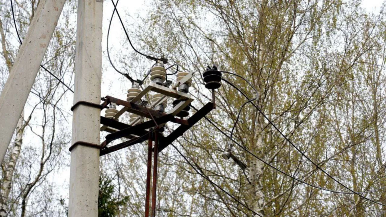 Фото: t.me/OErohanovaSP