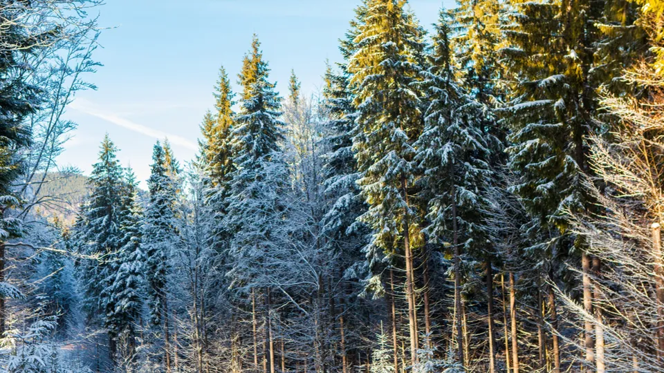 Фото: freepik.com