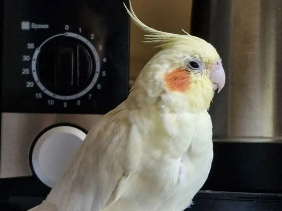 Фото: Екатерина Логинова