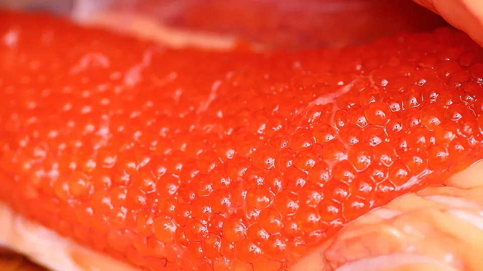 Фото: istockphoto.com/NatalyaAksenova