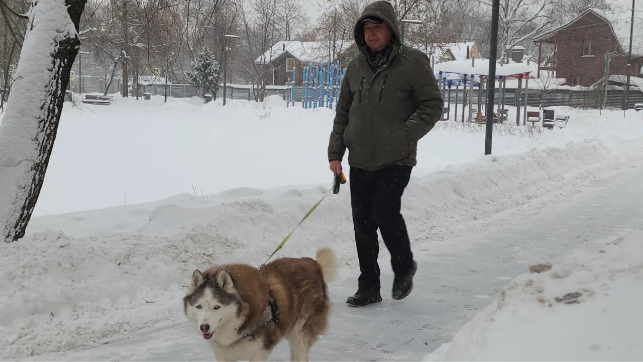 МедиаБанк Подмосковья/Наталья Лымарь