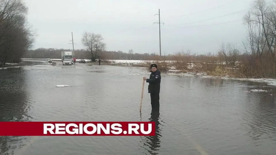 Фото: ГКУ МО «Мособлпожспас»