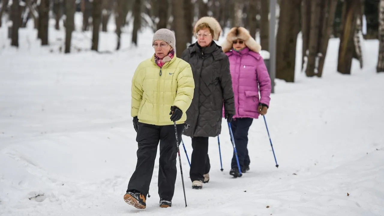 медиасток.рф