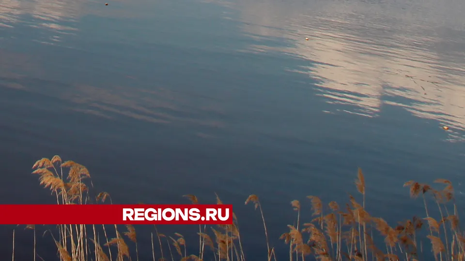 Фото: REGIONS/Василий Тремасов