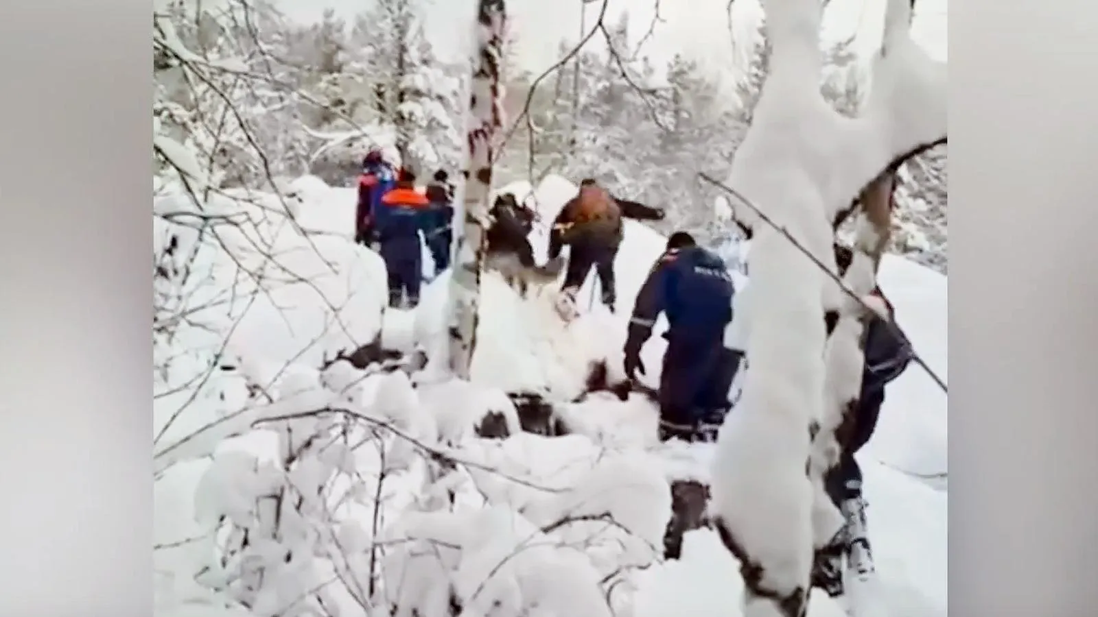 Поиски Усольцевых. Скриншот с видео ГСУ СК России по Красноярскому краю и Республике Хакасия