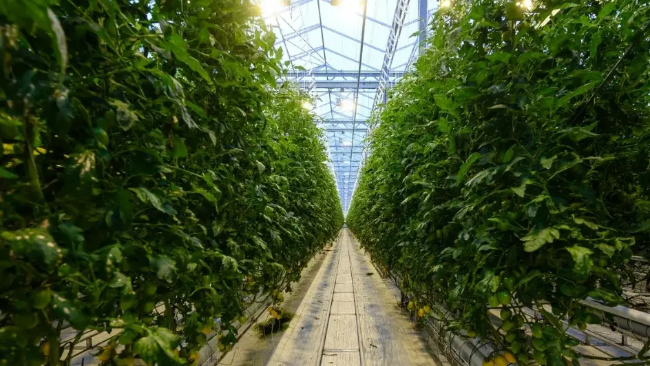 Фото: Министерство сельского хозяйства и продовольствия МО