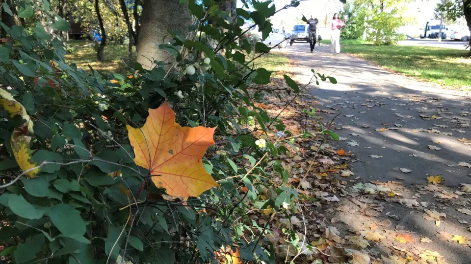Фото: Любовь Ермакова