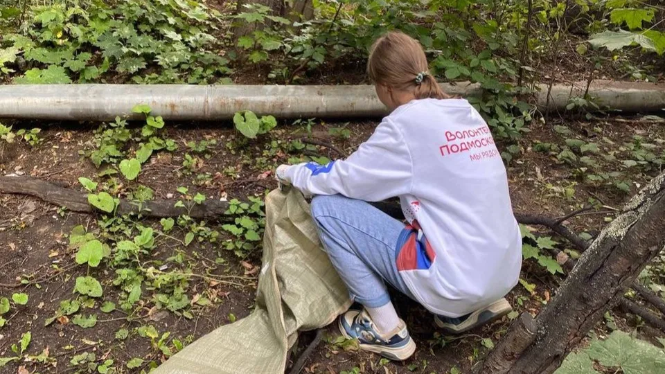 Фото: Одинцовский молодежный центр