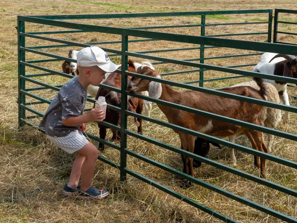 Фото: Музей-заповедник «Усадьба Мураново»