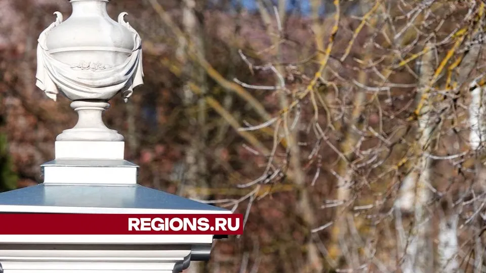 Фото: Дарья Леонова