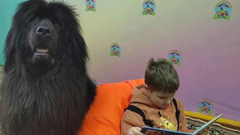 Студия свободного чтения детской библиотеки мкр. Рекинцо г. Солнечногорска