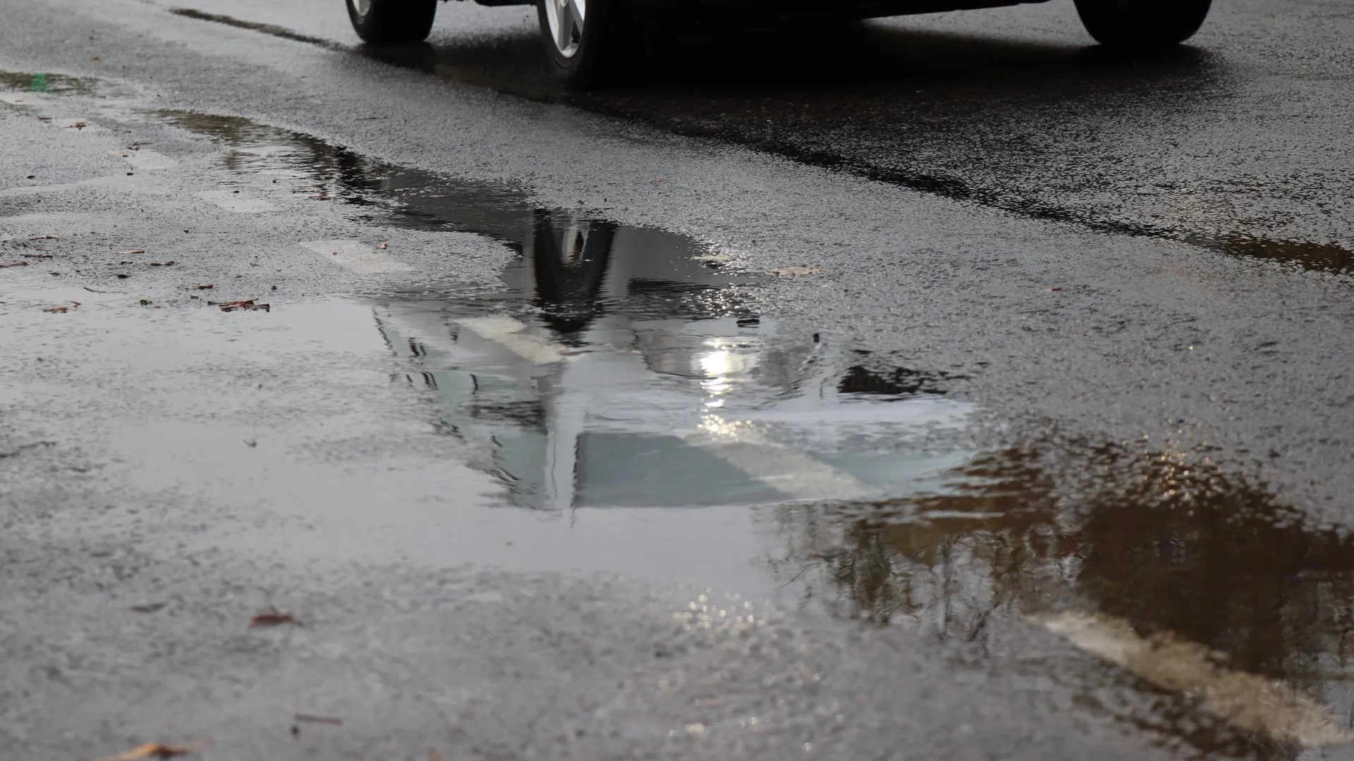 Фото: Василий Тремасов