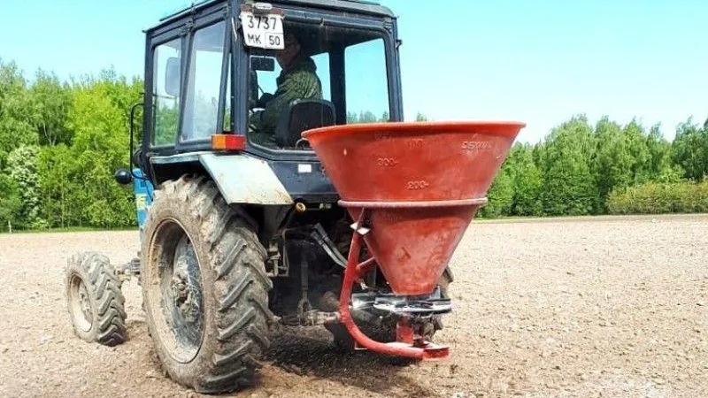 Лесные питомники Подмосковья наращивают темпы