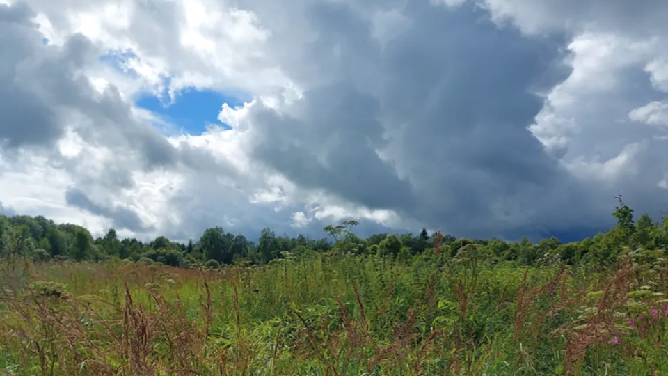 Фото: Комитет по конкурентной политике МО