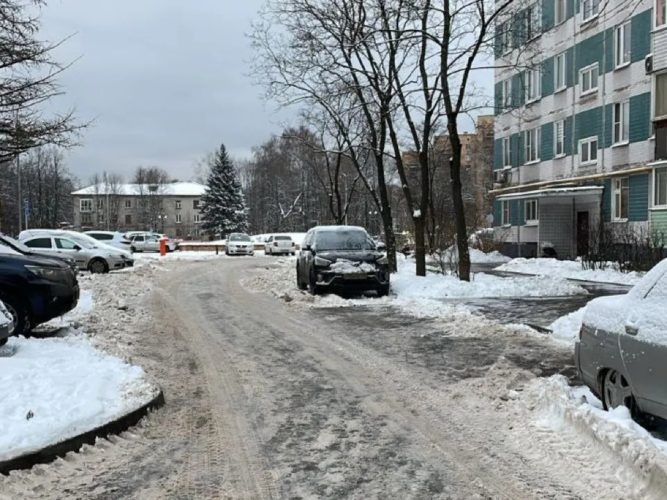 Фото: пресс-служба администрации г. о. Черноголовка<br>