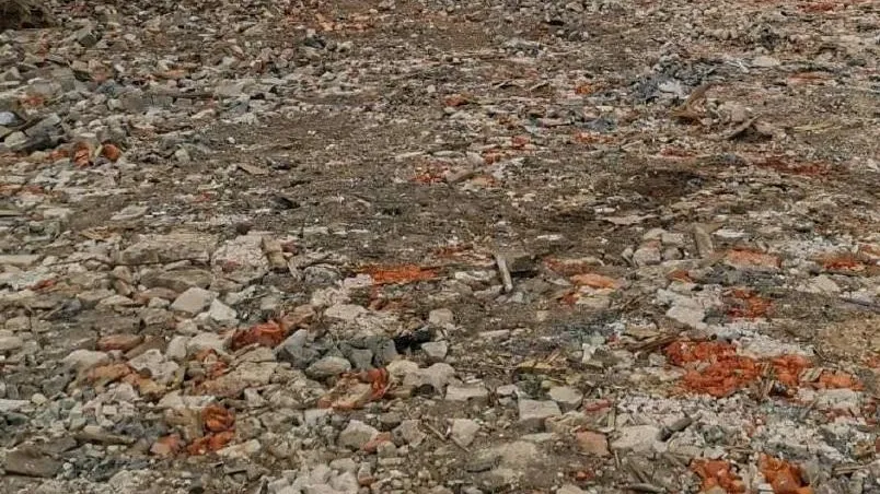 Фото: Минэкологии МО