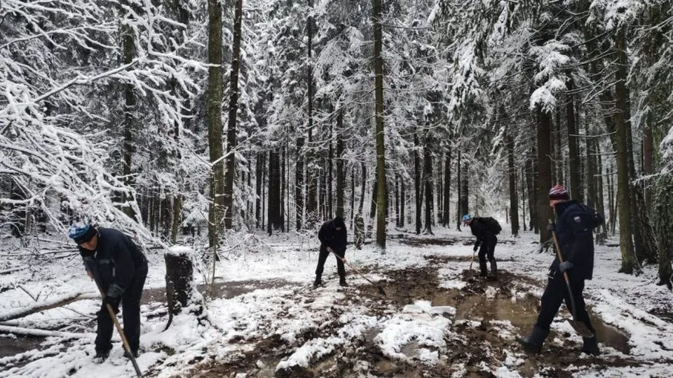 Фото: администрация г.о. Красногорск
