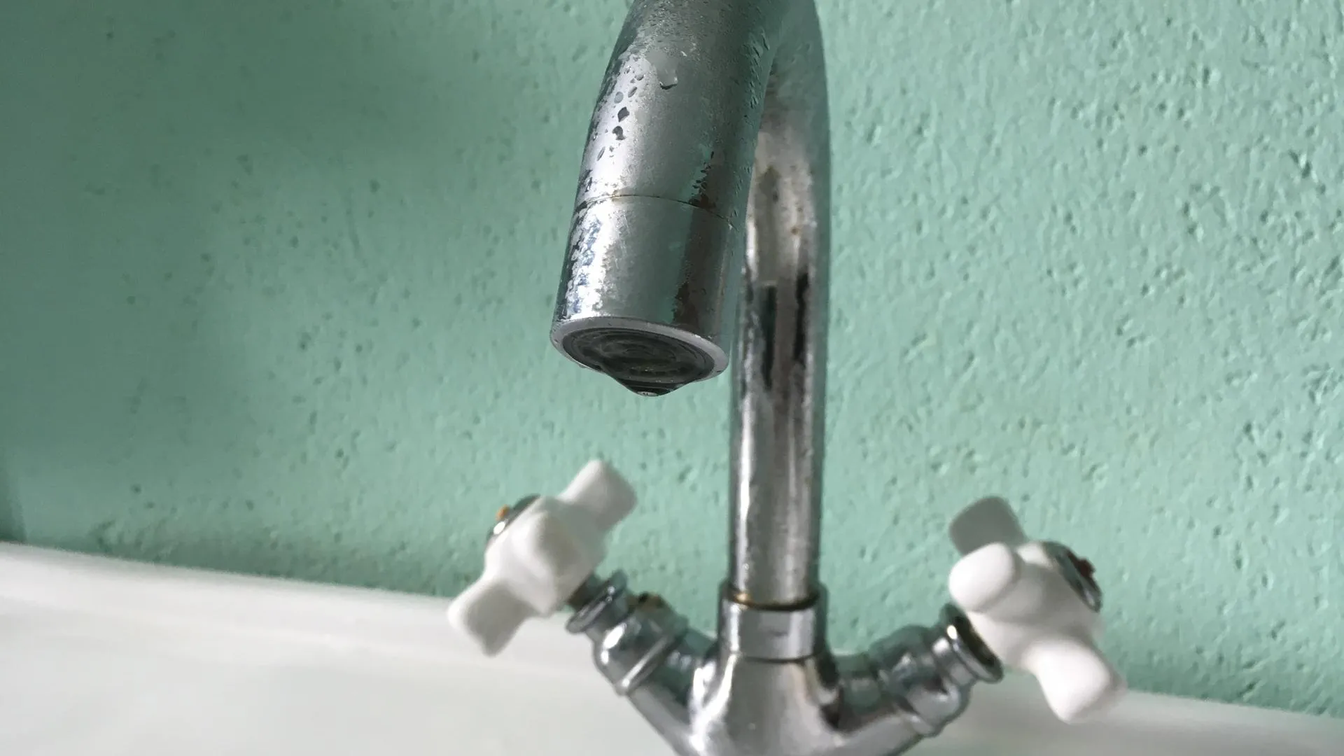 Фото: Евгений Лавряшин