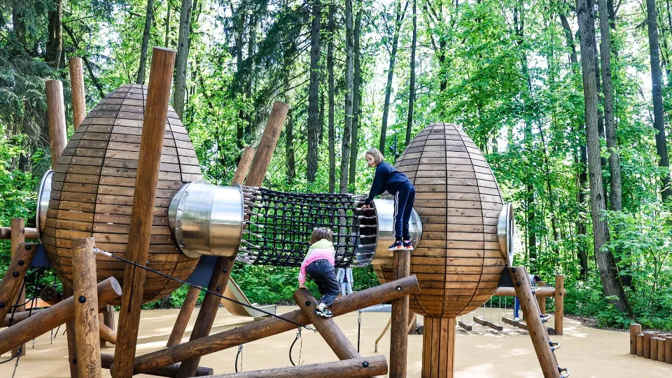 Фото: пресс-служба администрации г.о. Красногорск