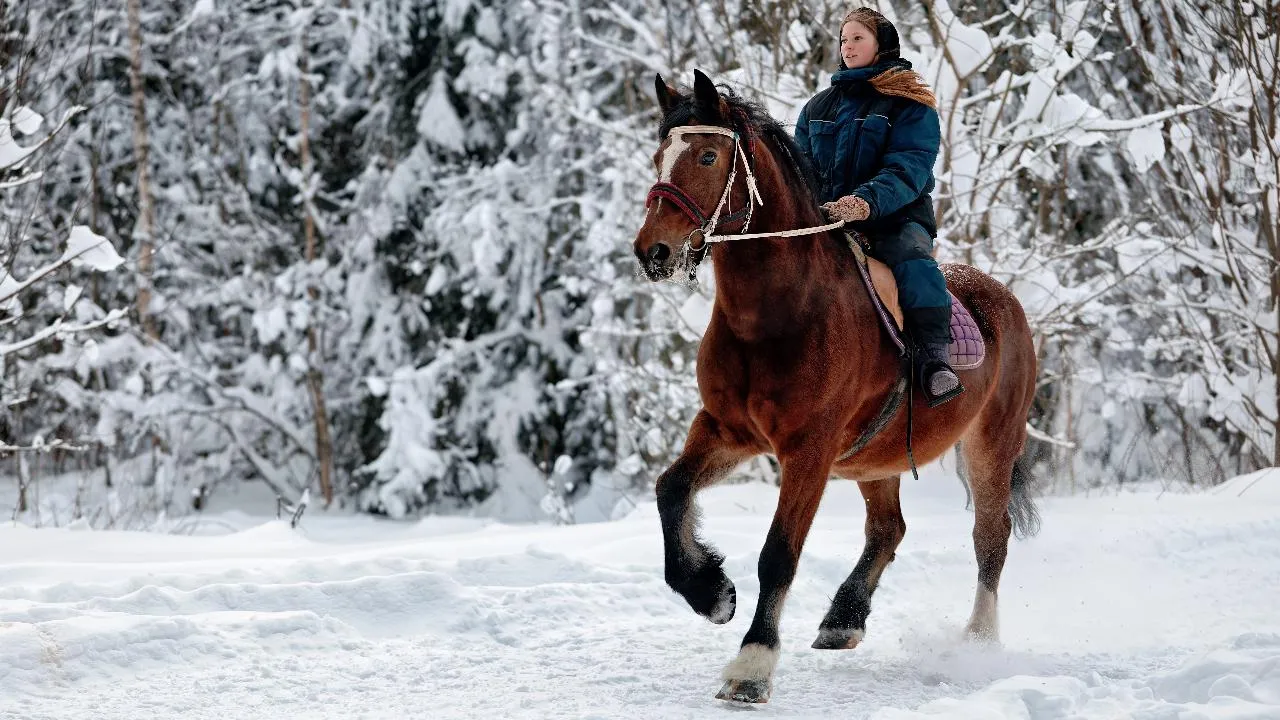 медиасток.рф