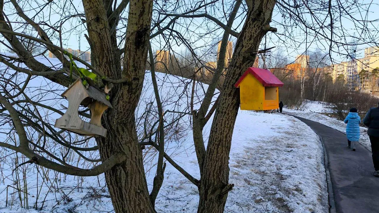 REGIONS/Роман Малышенко