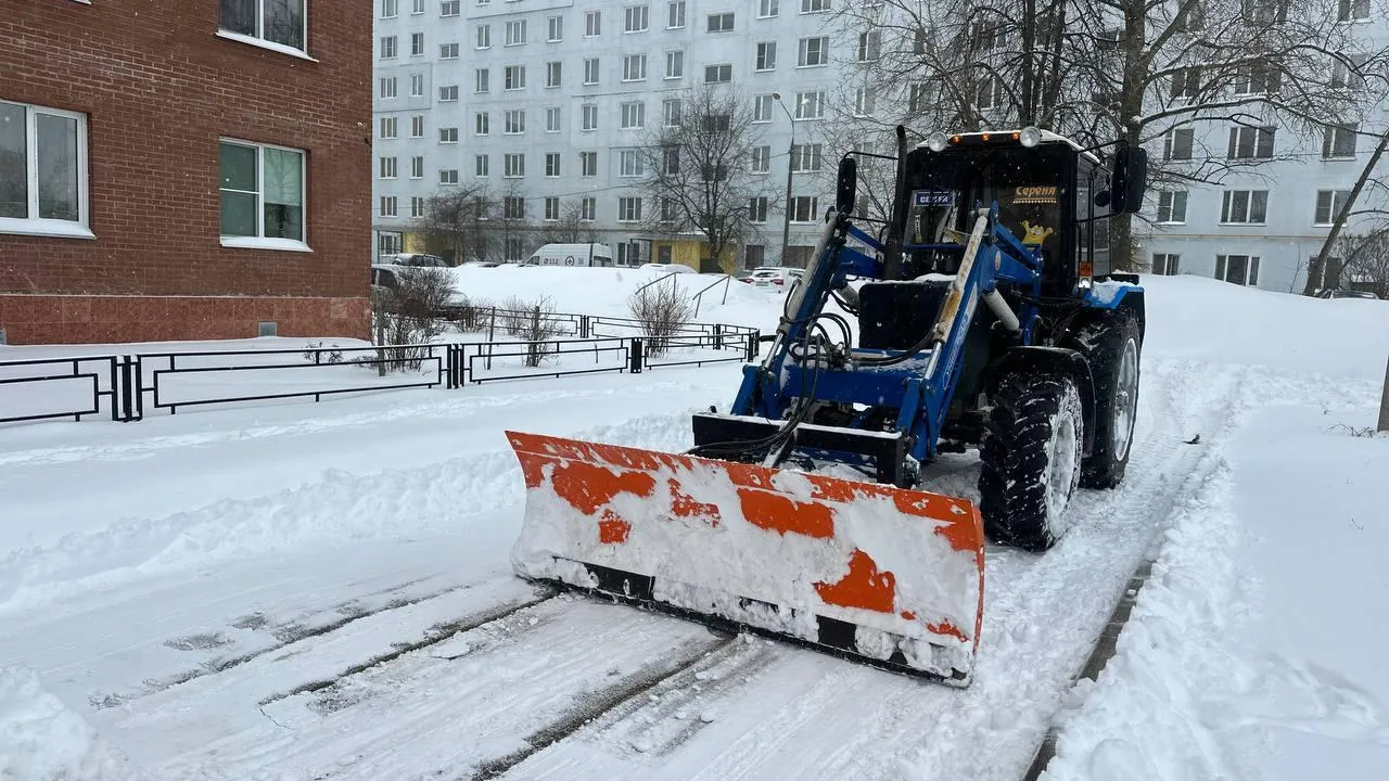 Фото: Денис Мордвинцев / Telegram