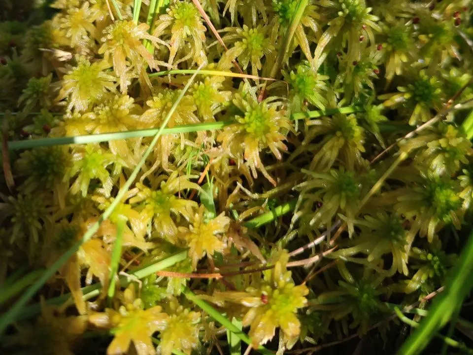 Фото:  Анна Карташева