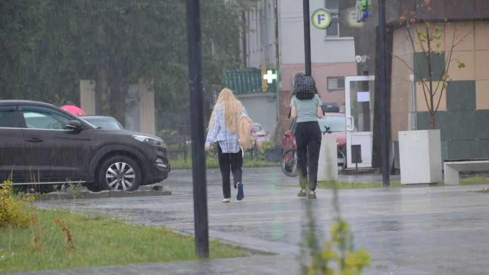 Фото: МедиаБанк Подмосковья/Михаил Мартыненко