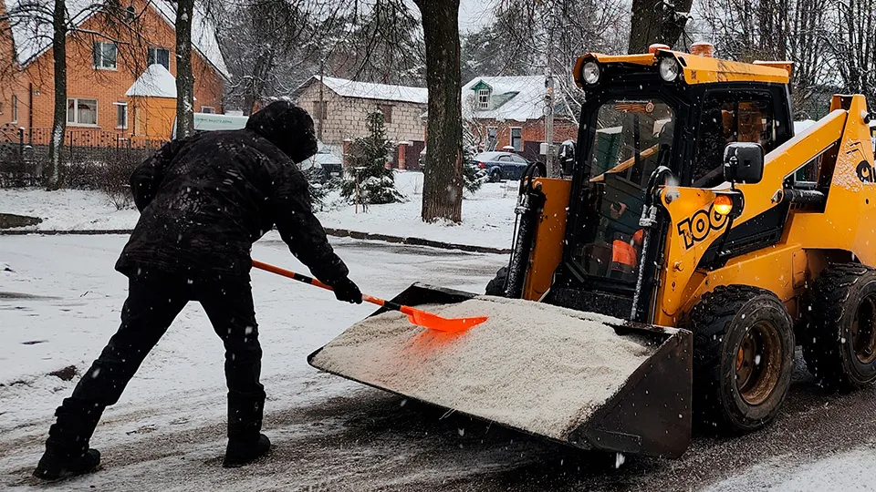 Фото: МедиаБанк Подмосковья/Хавива Фонина