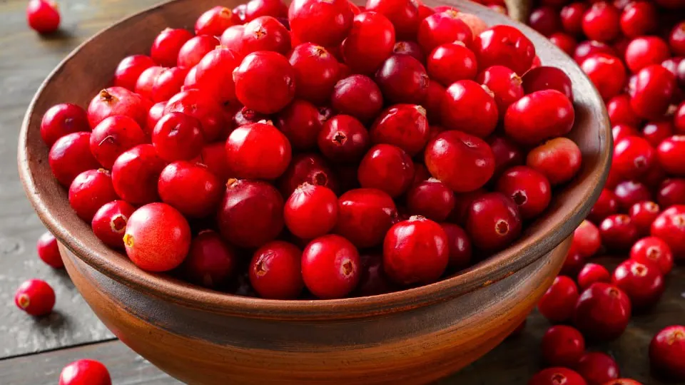 Фото: istockphoto.com/kostman