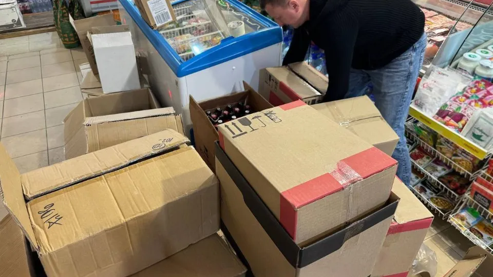 Фото: пресс-служба администрации г. о. Подольск