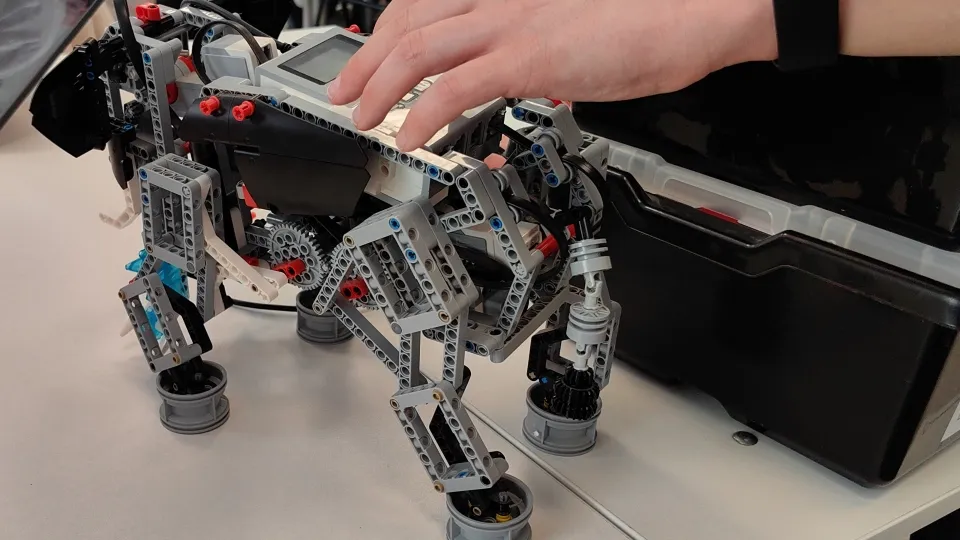 Фото: Медиабанк Подмосковья/Елена Катасонова