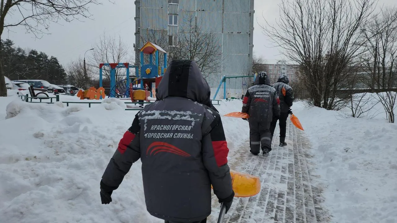 REGIONS/Кристина Ларина