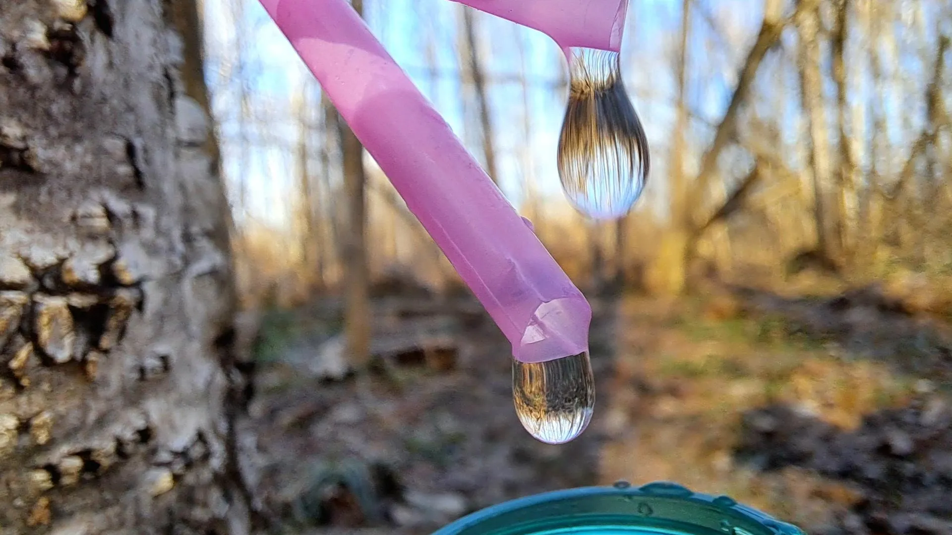 МедиаБанк Подмосковья/Игорь Панов