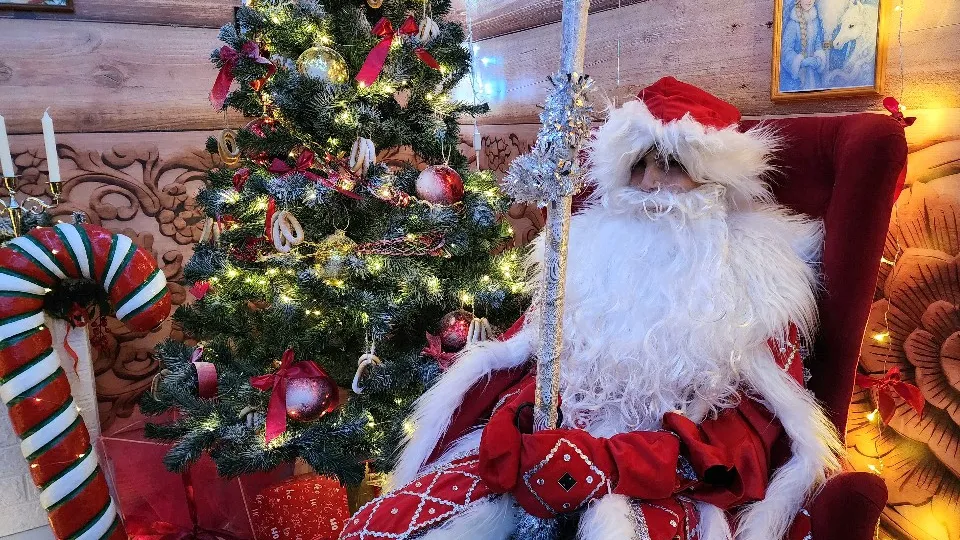 Фото: МедиаБанк Подмосковья/Юлия Унрау