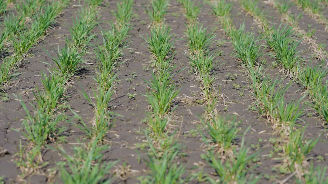 Фото: пресс-служба губернатора Московской области