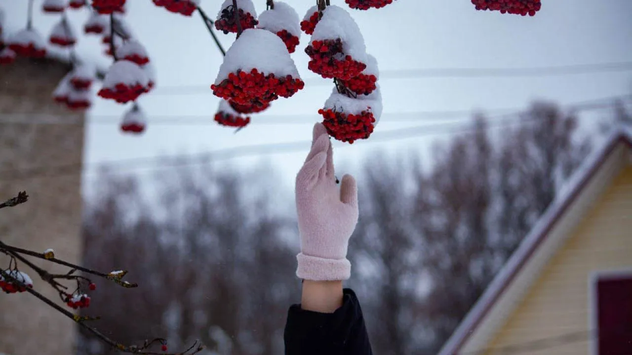 REGIONS/Дарина Левкина