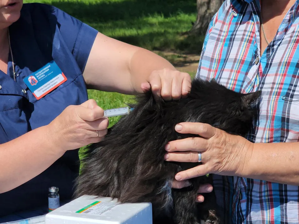 Фото: REGIONS/Роман Кутузов