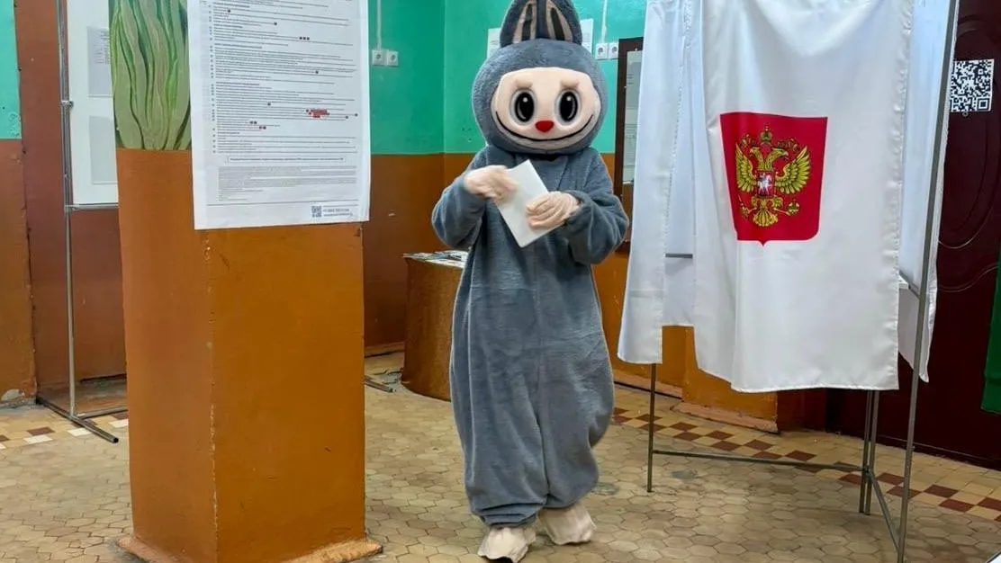 Избирательная комиссия Челябинской области