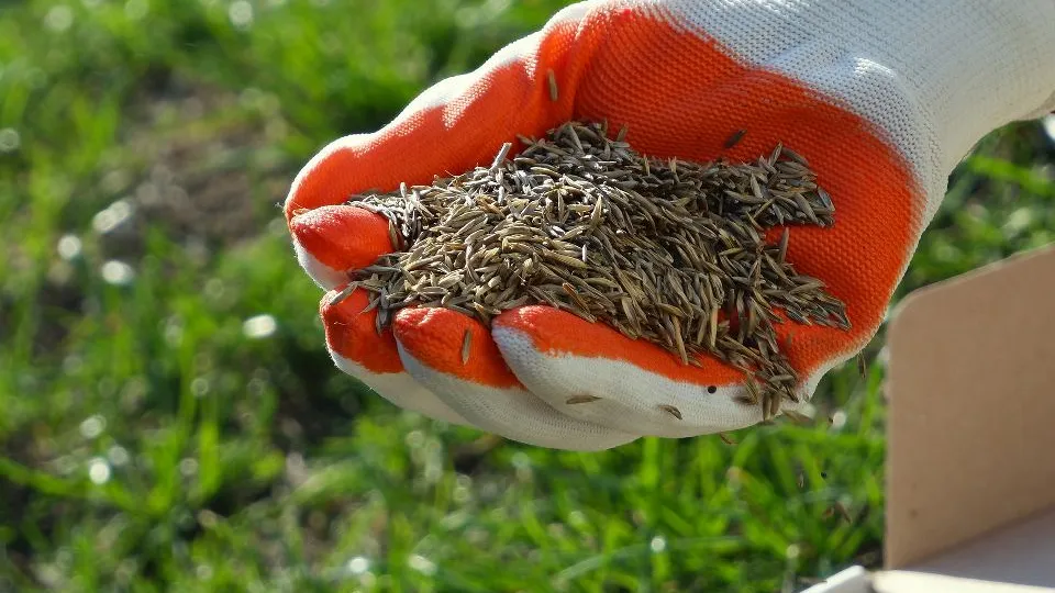 Фото: istockphoto.com