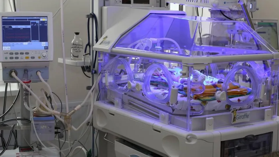 Фото: Министерство здравоохранения Московской области