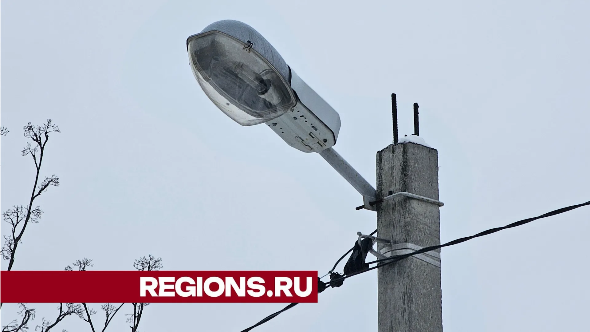 Фото Александра Дрожжина
