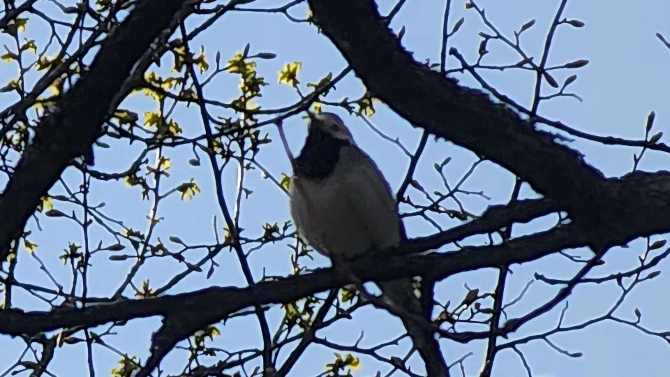 Фото: Медиабанк Подмосковья/Андрей Семибратов