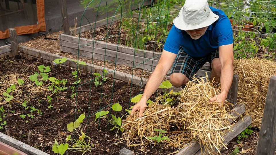 Фото: istockphoto.com