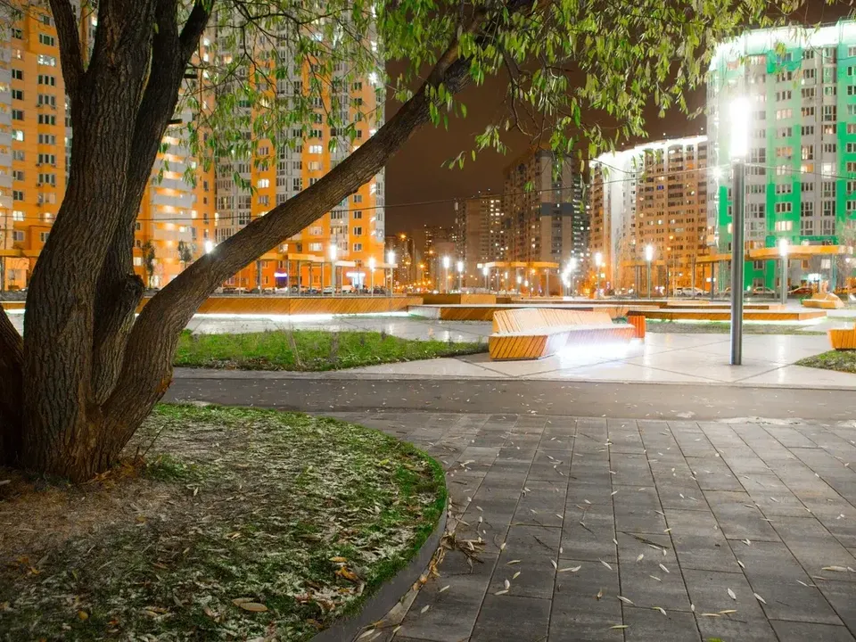 Фото: Министерство благоустройства Московской области