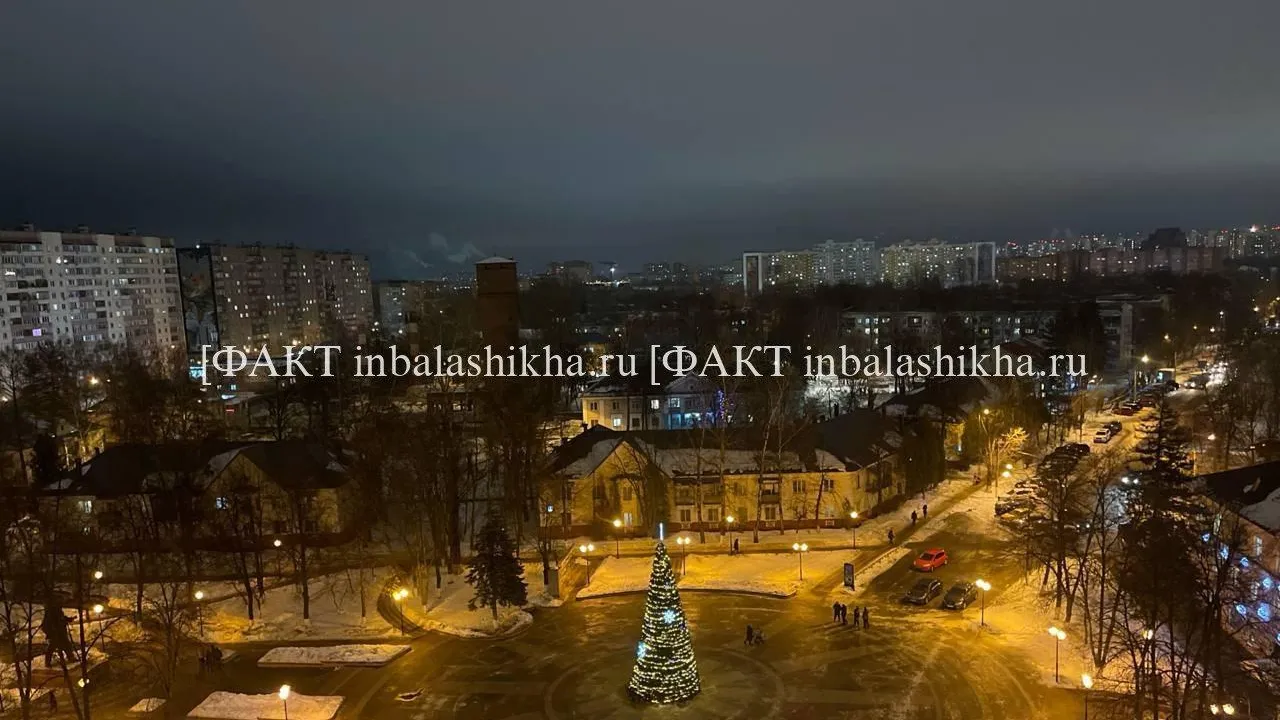 Фото: пресс-служба администрации г.о. Балашиха