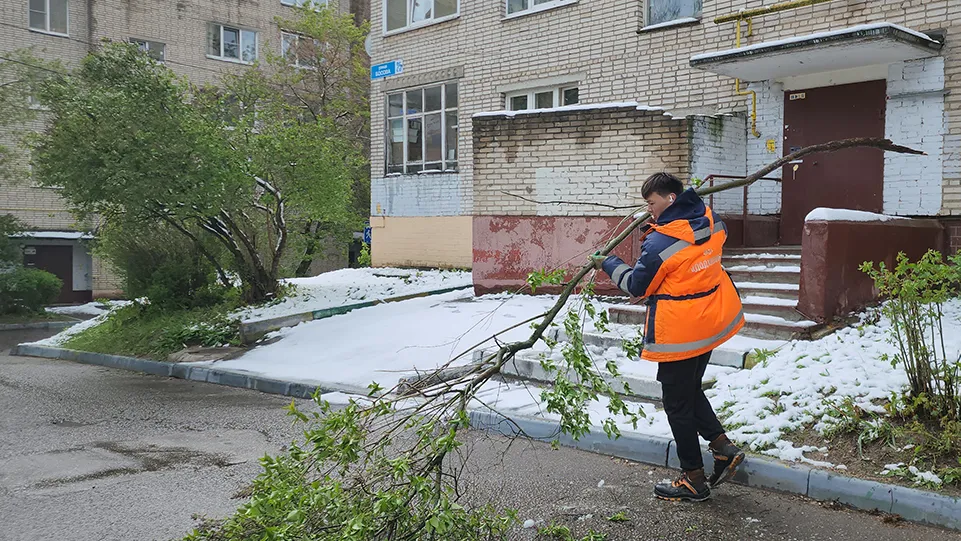 Фото: МедиаБанк Подмосковья/Екатерина Морозова