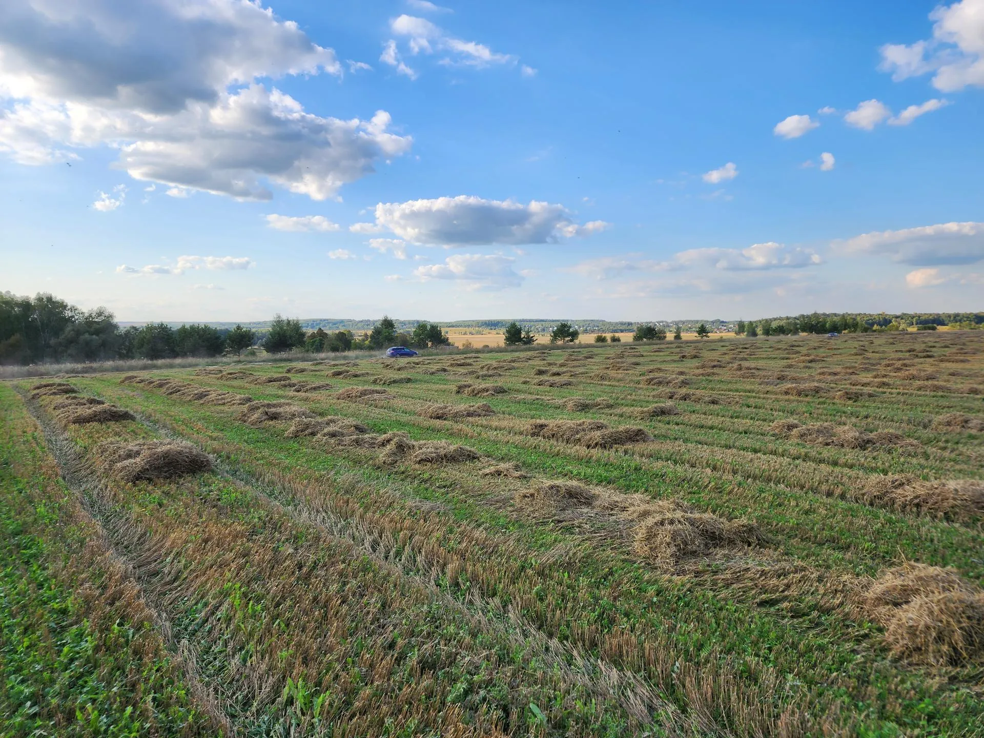 Фото: Андрей Семибратов